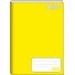 CADERNO BROCHURA CAPA DURA AMARELO 48 FOLHAS JANDAIA